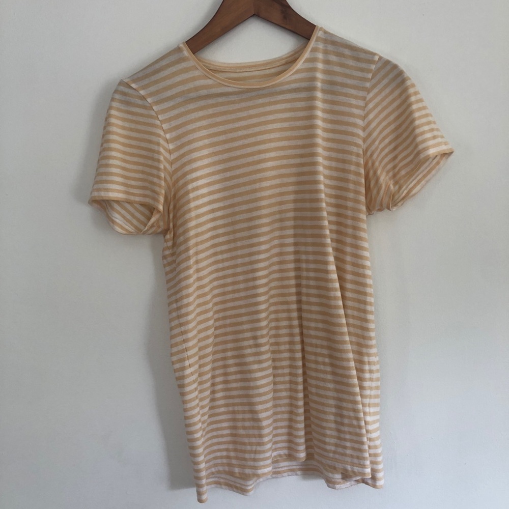 Everlane The Cotton Crew